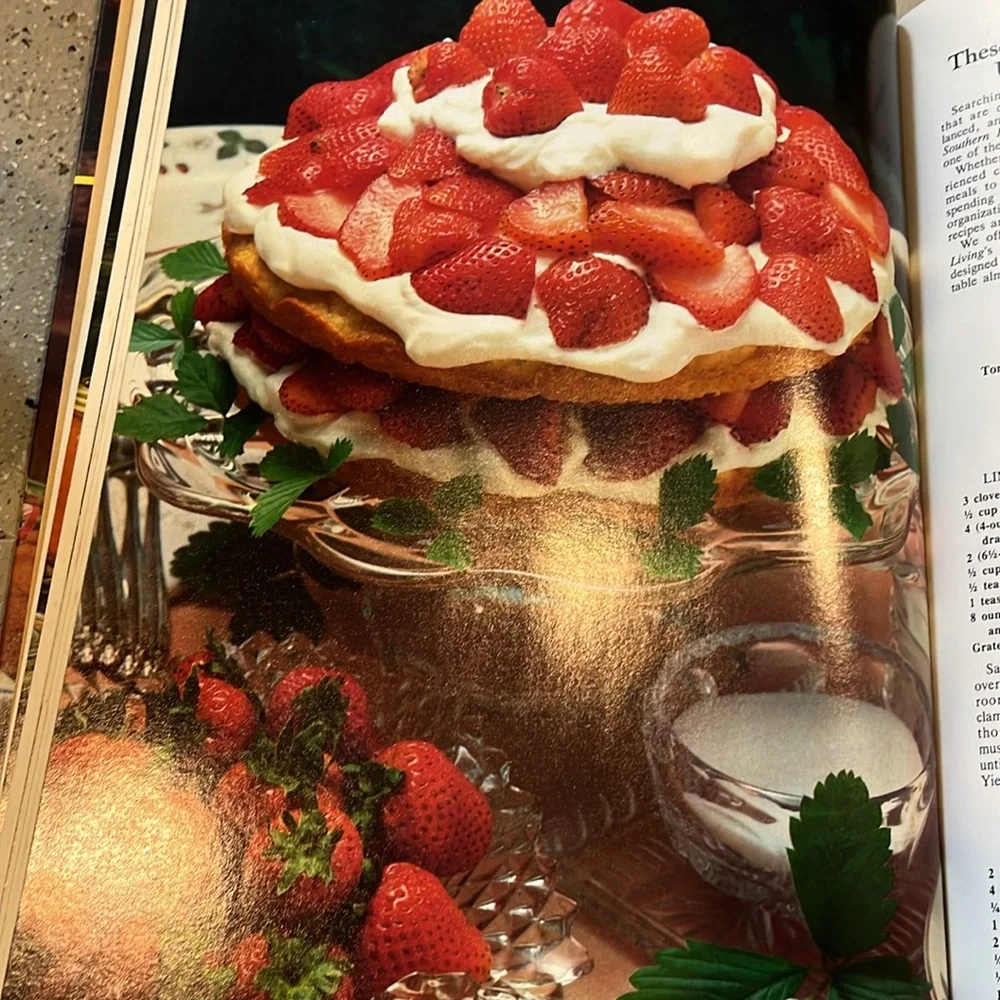 VINTAGE SOUTHERN LIVING 1981 ANNUAL RECIPES HARDCOVER COOKBOOK